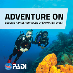 Advanced Open Water Course (one On One)