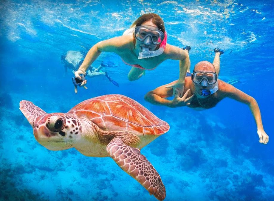 Snorkel With Turtles At Cook Island (M$105)