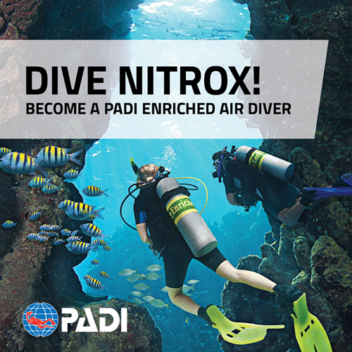 Enriched Air Diver without Dives