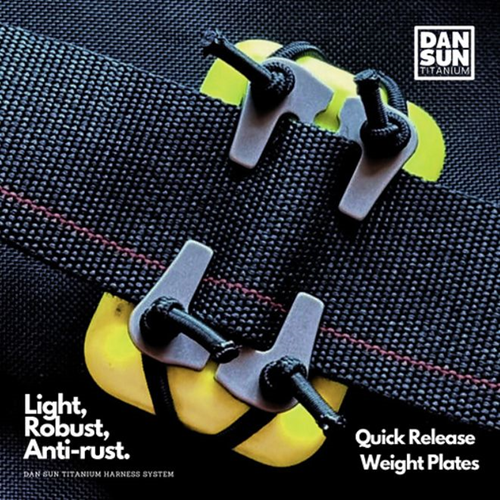 Dan Sun Quick Release Weight Plates (2pc)