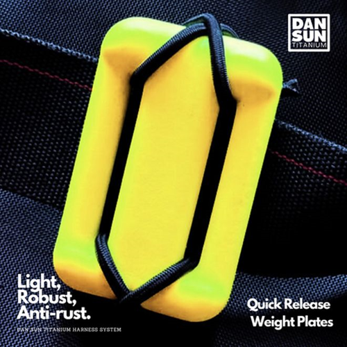 Dan Sun Quick Release Weight Plates (2pc)