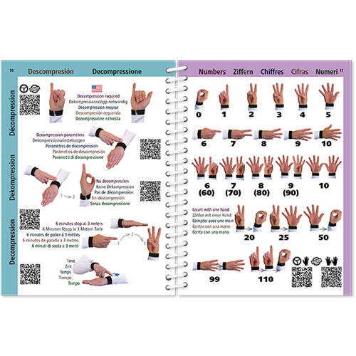 Pictolife Diving Signal