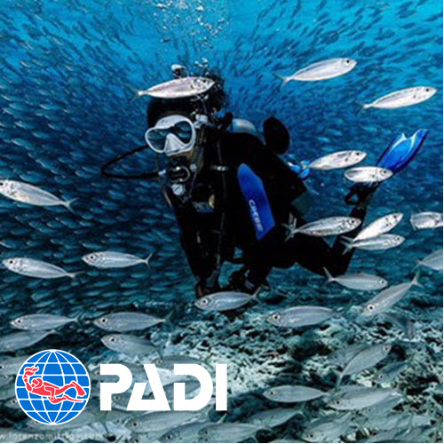 Discover Scuba Diving - eLearning