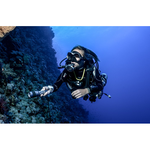 SDI Deep Diver