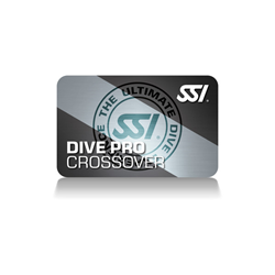 Ssi Instructor Crossover