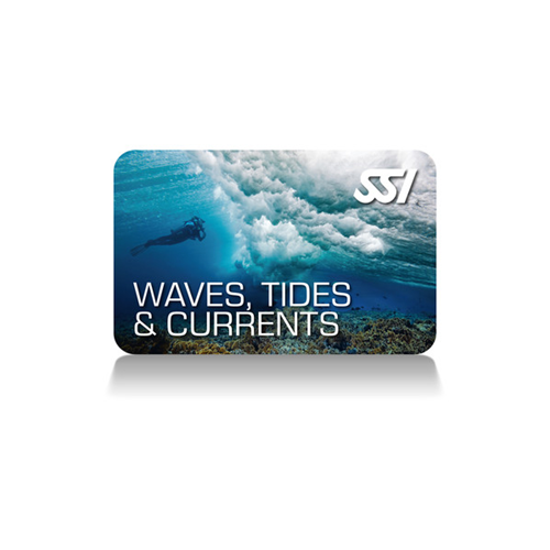 SSI Waves, Tides & Currents