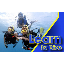 Open Water Dive Course