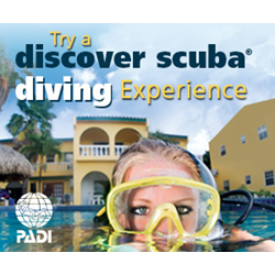 Discover Scuba Diving