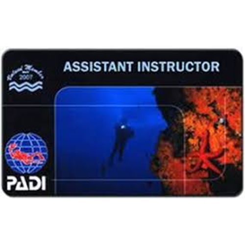 Assistant Instructor (Contact Store)
