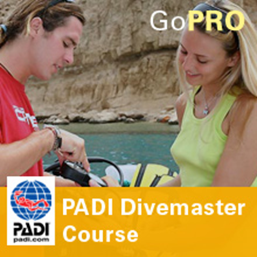 Deposit For Padi Dm Course