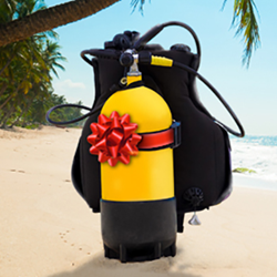 Learn To Dive - Gift Certificate