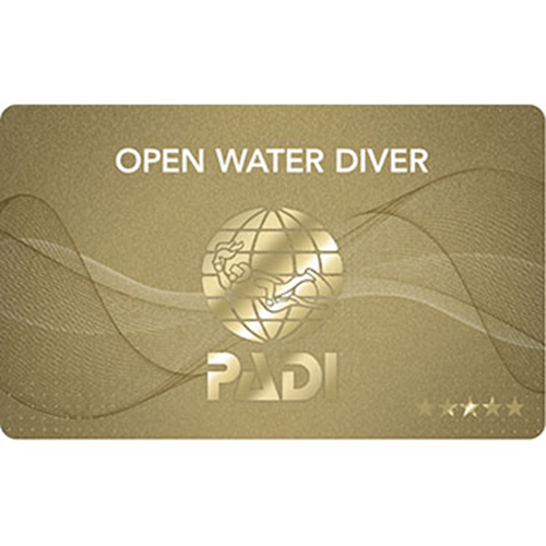 Start Your Dive Course Today