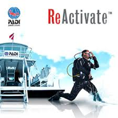 Padi Reactivate