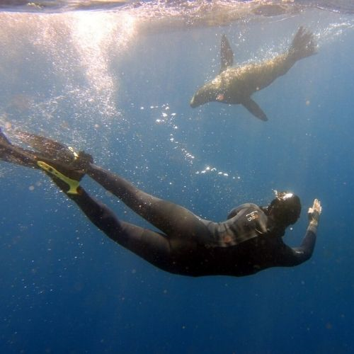 Freediver