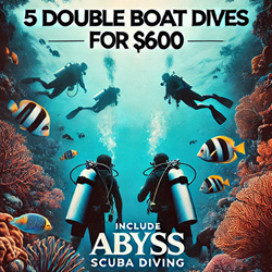 Boat Dive 5 Package 