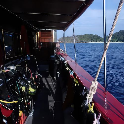 Thailand Dive Trip