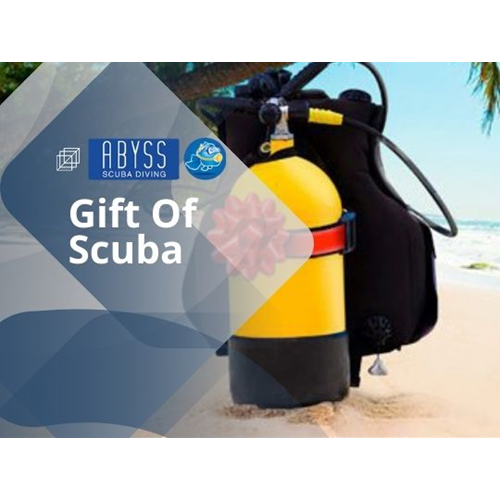 Learn To Dive - Gift Certificate
