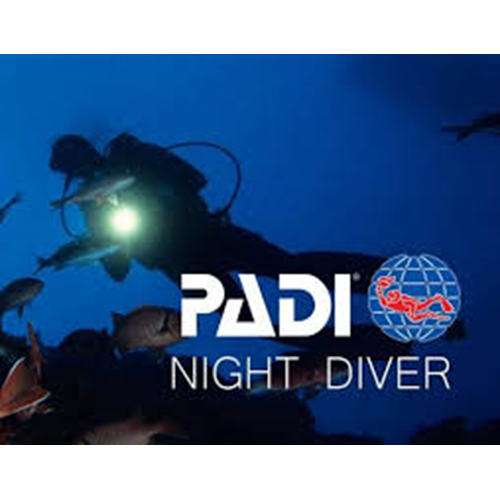 Scuba Diving at Night  PADI Night Diver course